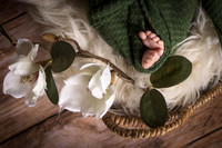 Andrea Jensen Photography Newborn