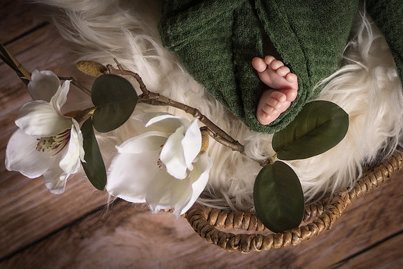 Andrea Jensen Photography Newborn