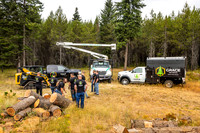 Grace Tree Service 2025