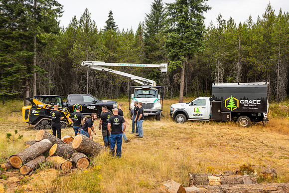 Grace Tree Service 2025