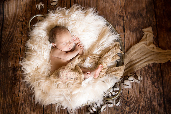 Andrea Jensen Photography Newborn
