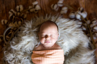 Andrea Jensen Photography Newborn