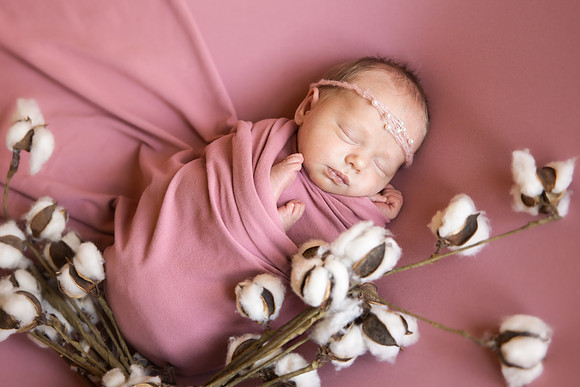 Andrea Jensen Photography Newborn