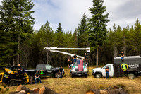 Grace Tree Service 2025
