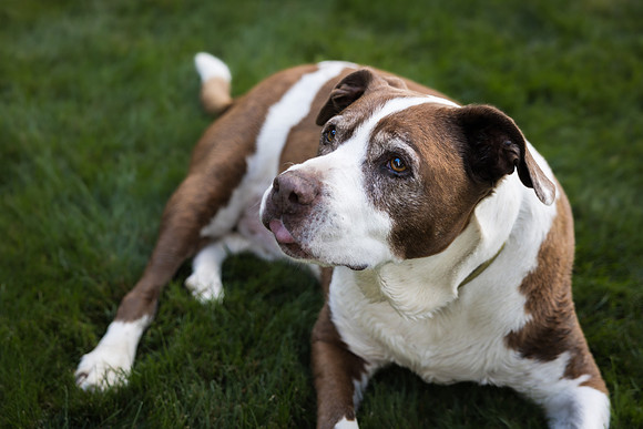 Natalie Simpson 2023