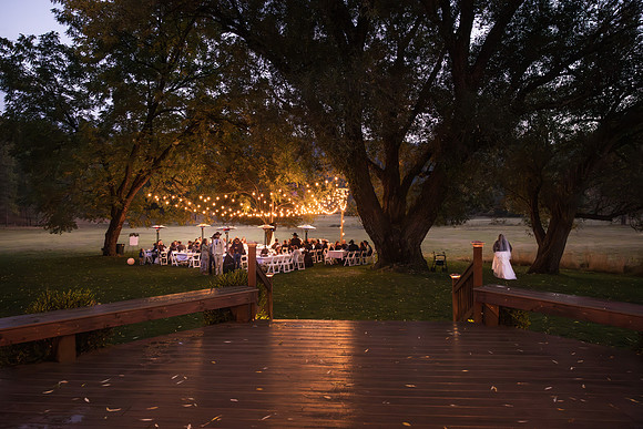 Stockner Wedding 2025