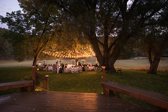 Stockner Wedding 2025
