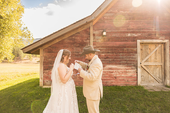 Stockner Wedding 2025