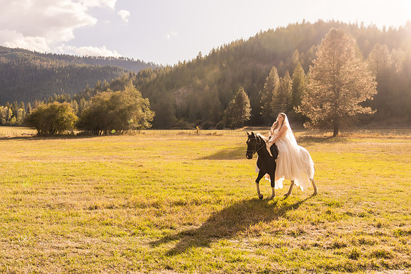 Stockner Wedding 2025