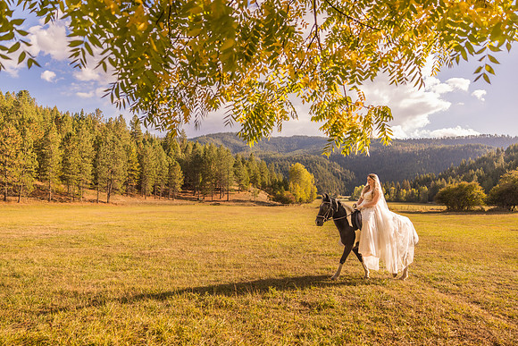Stockner Wedding 2025