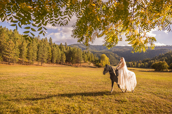 Stockner Wedding 2025