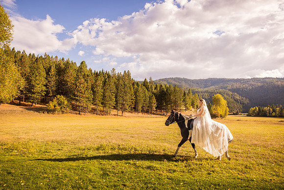 Stockner Wedding 2025