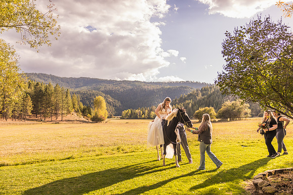 Stockner Wedding 2025