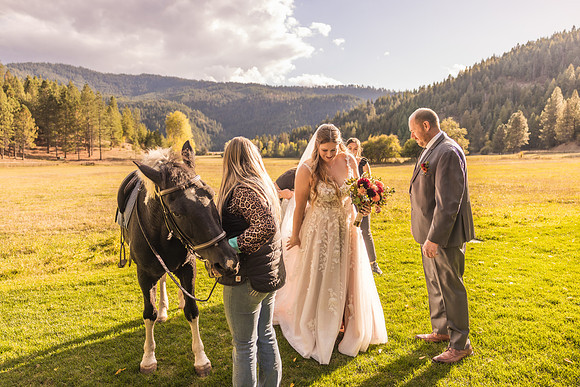 Stockner Wedding 2025