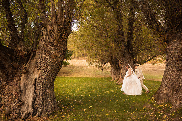 Stockner Wedding 2025