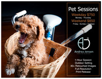 Pet Pricing 2026