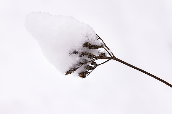 Andrea Jensen Photography