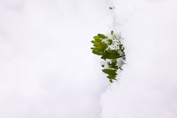Andrea Jensen Photography