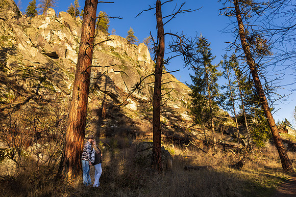 Megan Dalton and Tyler Stockner Engagement 2025