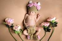 Persephone Hayes 2026