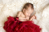 Persephone Hayes 2026