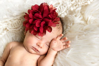 Persephone Hayes 2026