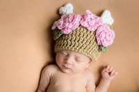 Persephone Hayes 2026