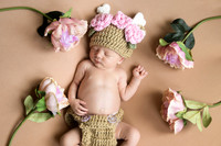 Persephone Hayes 2026