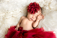 Persephone Hayes 2026