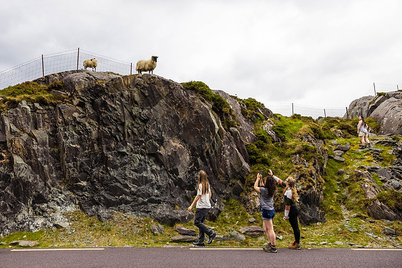 Ireland Day #6 Travel to Killarney 2023
