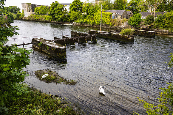 Ireland Day #9 Galway