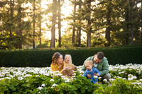 Warren Family 2026