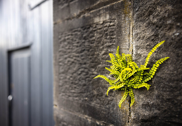 Ireland Day #2
