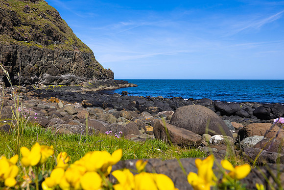 Ireland Day #15 Traveling to Belfast 2023