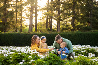 Warren Family 2026
