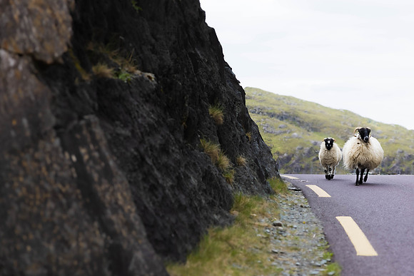 Ireland Day #6 Travel to Killarney 2023
