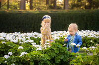 Warren Family 2026