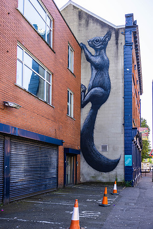 Ireland Day #16 Belfast 2023