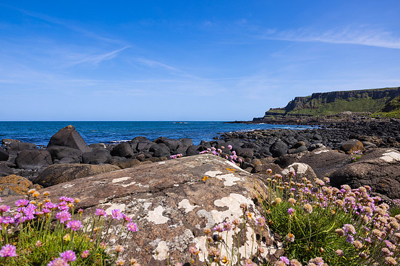 Ireland Day #15 Traveling to Belfast 2023