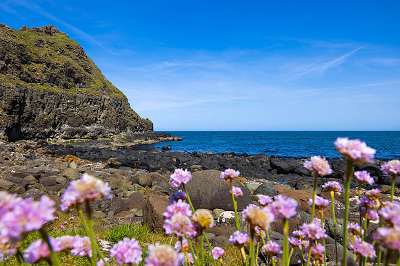 Ireland Day #15 Traveling to Belfast 2023