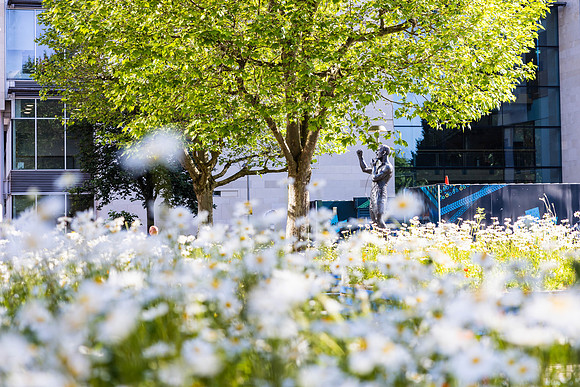 Ireland Day #16 Belfast 2023