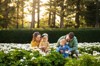 Warren Family 2026