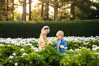 Warren Family 2026