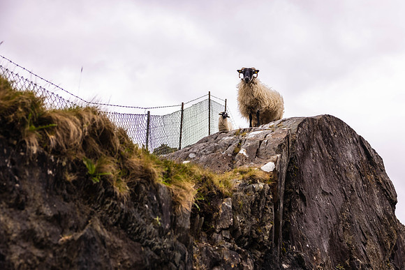 Ireland Day #6 Travel to Killarney 2023