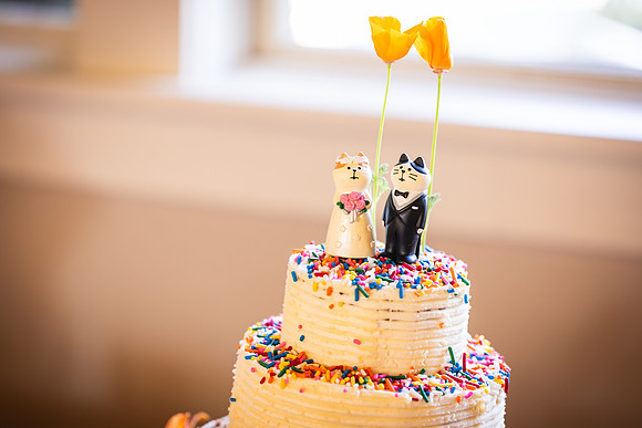 Jerry & Annie Allen Wedding 2024