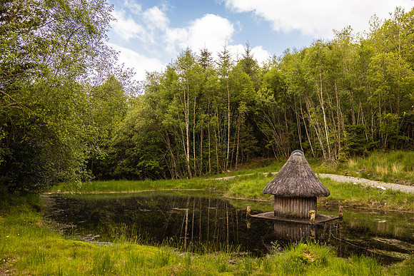 Ireland Day #6 Travel to Killarney 2023