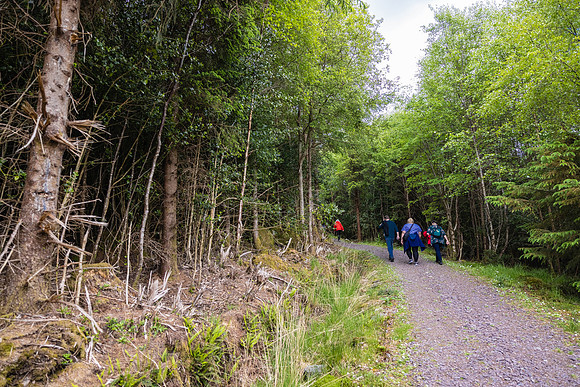 Ireland Day #6 Travel to Killarney 2023
