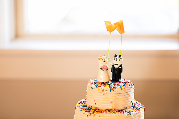Jerry & Annie Allen Wedding 2024