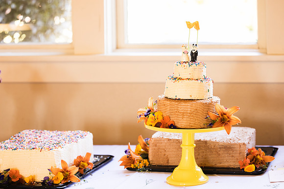 Jerry & Annie Allen Wedding 2024