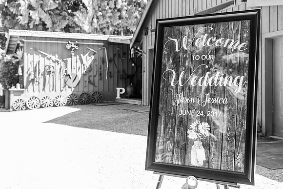 184Allen's Wedding 2017